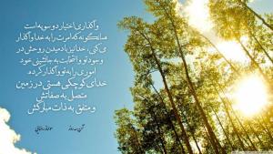 سولماز رضایی