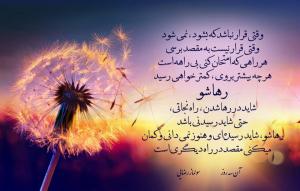 سولماز رضایی