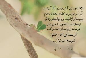 سولماز رضایی