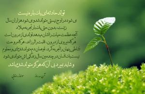 سولماز رضایی