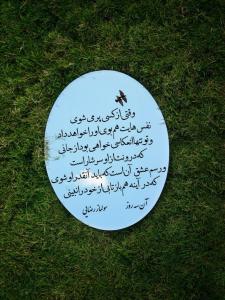 سولماز رضایی